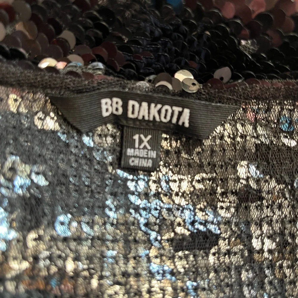 BB Dakota Shimmering Black and Silver Sequin Top